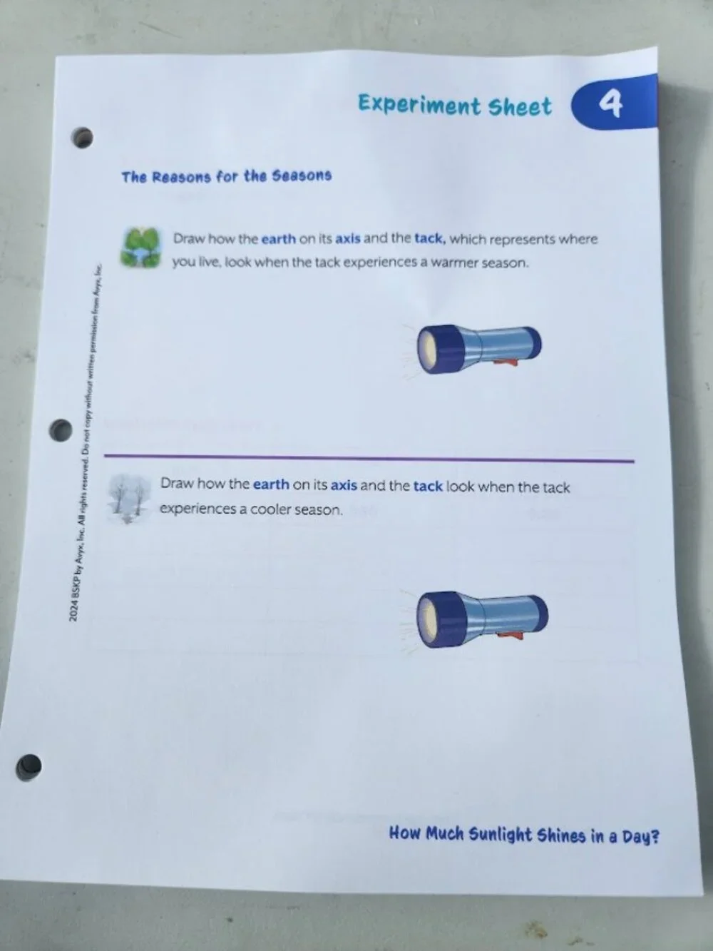 NEW BookShark Book Shark Science B Experiment Paper Packet Worksheets Homeschool